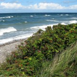 0709F 040 Travemuende-Usedom